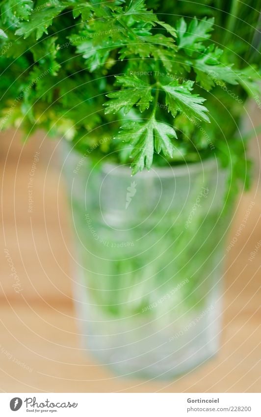 parsley Food Herbs and spices Nutrition Organic produce Vegetarian diet Glass Fresh Green Parsley Food photograph Colour photo Interior shot Close-up Detail