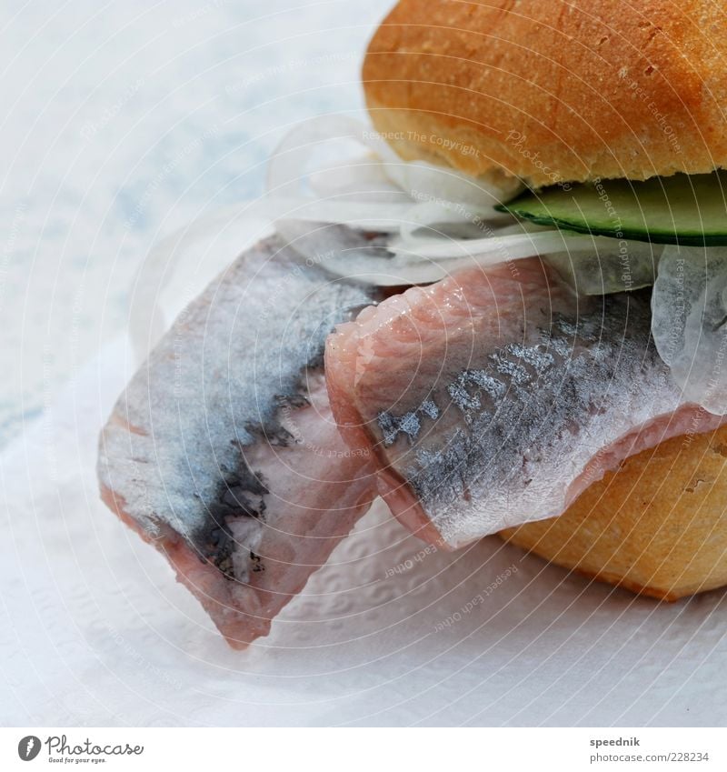 Holiday with fish rolls Food Fish Roll Onion ring Slices of cucumber Nutrition Breakfast Lunch Dinner Buffet Brunch Fish roll Dead animal 1 Animal Delicious
