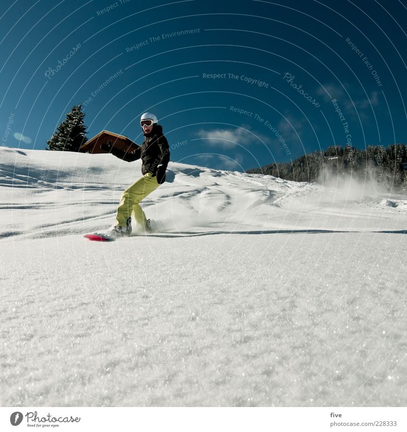 boarding Leisure and hobbies Winter Snow Winter vacation Mountain Sports Winter sports Snowboard Ski run Human being Woman Adults 1 30 - 45 years Nature