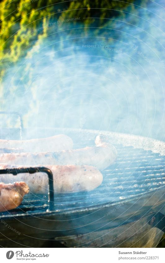Thuringian Meat Sausage Nutrition Dinner Summer Vice Bratwurst Barbecue (apparatus) Grill BBQ season Smoke cloud Dampen Unhealthy Fat Colour photo Multicoloured