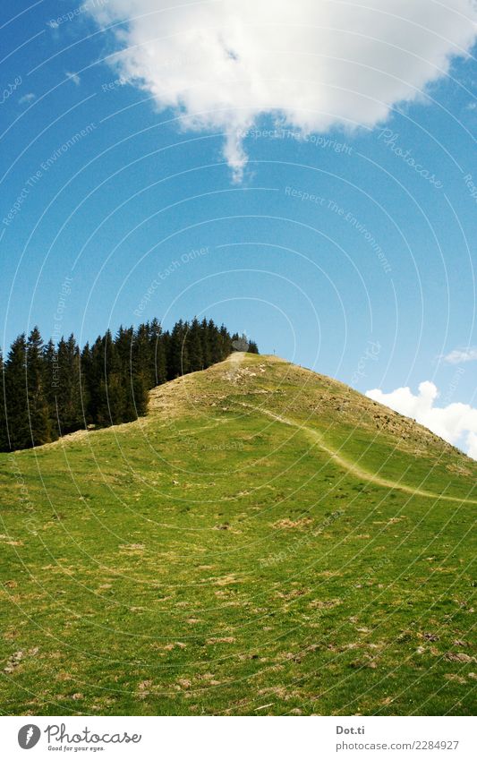 horns Nature Landscape Sky Clouds Grass Meadow Forest Alps Mountain Peak Hiking Blue Green Lanes & trails Target Incline Bavaria Alpine To board Footpath