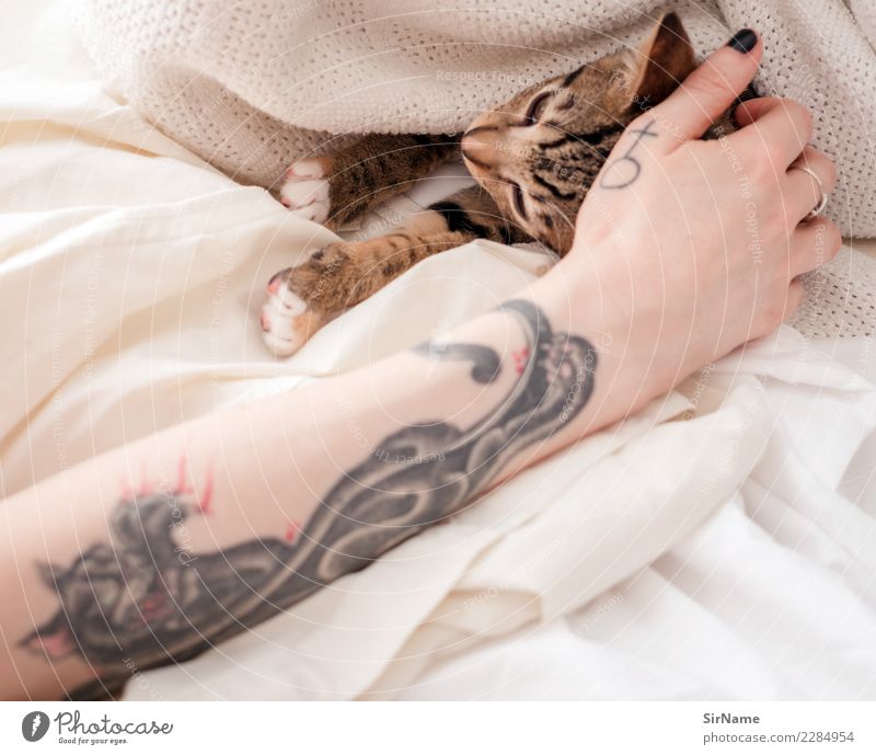 414 [two cats] Living or residing Young woman Youth (Young adults) Woman Adults Skin Arm Hand Youth culture Subculture Tattoo Pet Cat Claw Paw Animal Sign