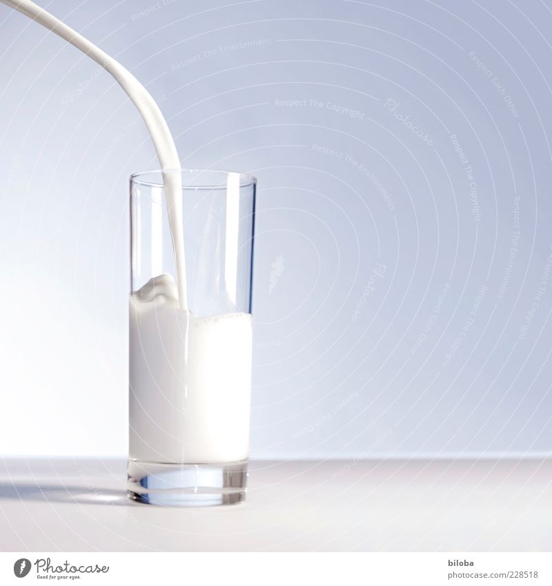 Pouring the milk arch Milk Cast jet Glass Dairy Products Beverage Healthy Blue Gray White Esthetic Accuracy Liquid Soft Fluid Studio shot Structures and shapes