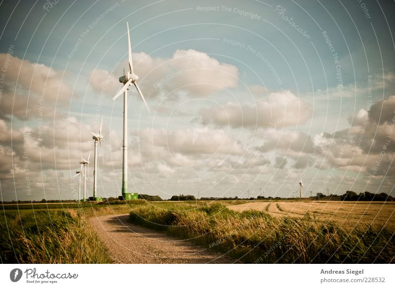 North Frisia Energy industry Renewable energy Wind energy plant Environment Nature Landscape Sky Clouds Summer Climate Beautiful weather Meadow Field