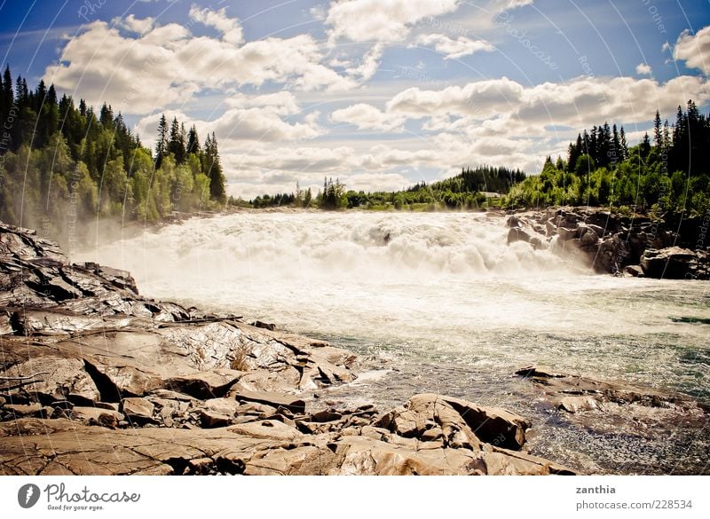 rapids Environment Nature Landscape Water Sky Clouds Sunlight Summer Beautiful weather Tree Forest River bank Rapid Waterfall Wild Blue Green Movement Norway