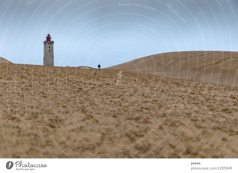 Lonely man walking towards lighthouse in wide dune landscape. Target Lighthouse Single-minded Denmark Historic Lanes & trails Old Loneliness Human being