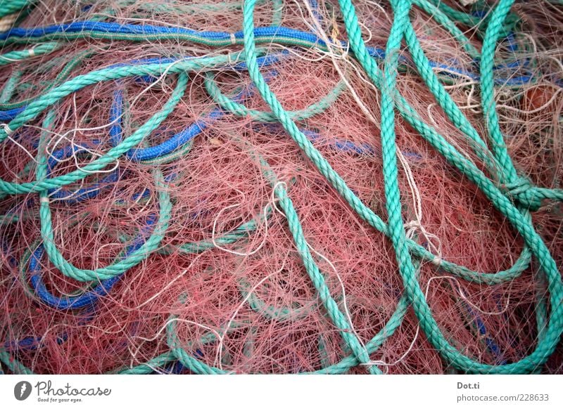 Fritz F. is off today Net Network Blue Pink Fishing net Rope Muddled Loop Maritime Heap Colour photo Exterior shot Structures and shapes Deserted Lie Turquoise
