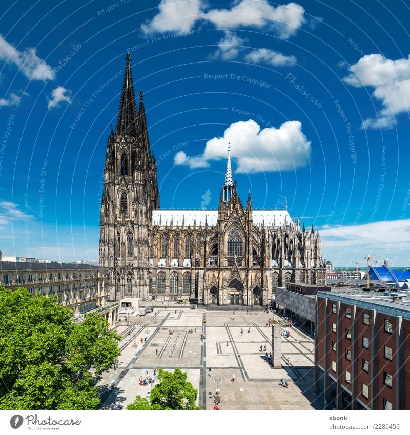 The cathedral in Kölle Cologne Cathedral Old town Pedestrian precinct Skyline Church Dome Manmade structures Building Architecture Blue Green Belief