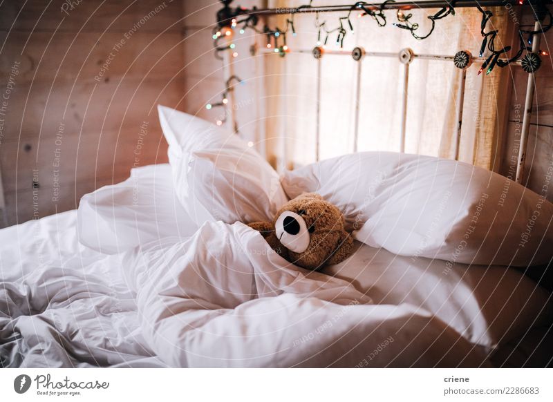 teddy bear in bed