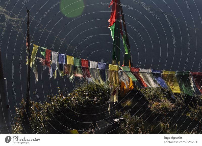 Windhorse Lungta Harmonious Relaxation Calm Freedom Expedition Nepal Buddhism Religion and faith Prayer flags Tibet Sunlight Sign Asia Gray Happy Belief