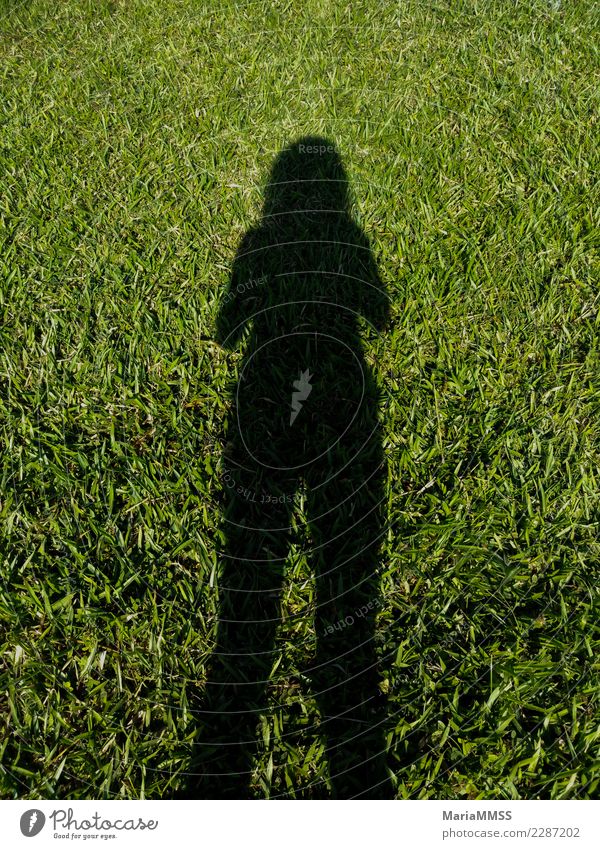 Shadow of woman on background grass Lifestyle Joy Leisure and hobbies Trip Adventure Far-off places Freedom Camping Summer Sun Garden Sports Fitness