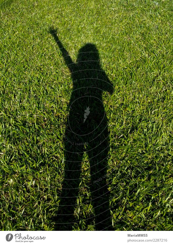 Woman`s silhouette waving on background grass Lifestyle Joy Wellness Relaxation Leisure and hobbies Fitness Sports Training Yoga trekking Feminine Young woman