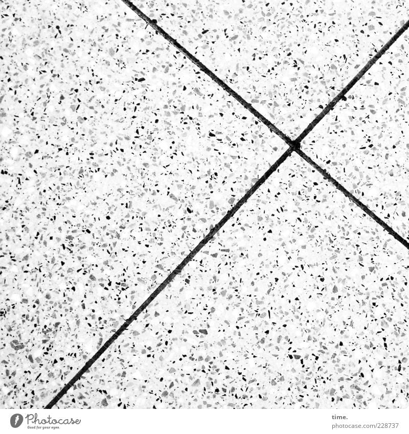 Smoochy fish Stone Concrete Crucifix Line Bright Loneliness Accuracy Arrangement Symmetry Concrete slab Seam Furrow Dappled Ground Floor covering Paving tiles