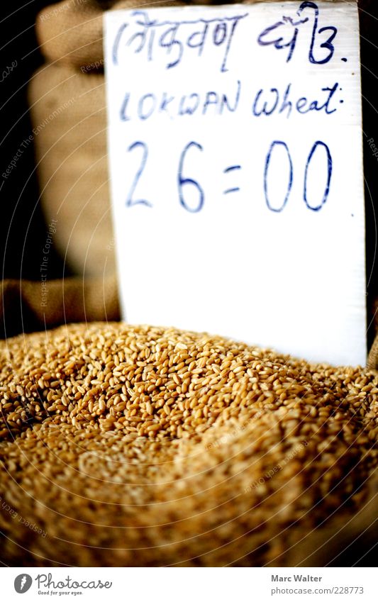 Grainy offer Food Wheat Wheat grain Nutrition Organic produce Vegetarian diet Price tag Sell Simple Healthy Sustainability Natural Dry Brown Yellow Gold Nature