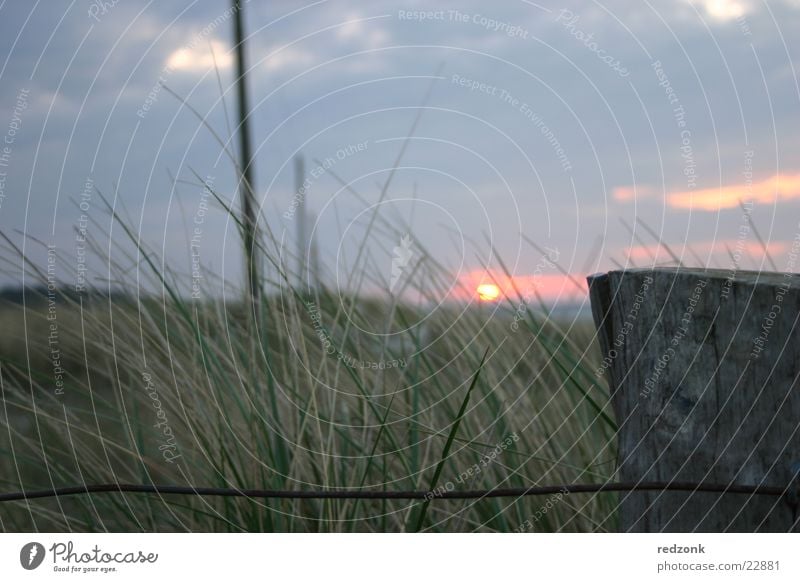 Dunes in the sunset I Sunset Fence Meadow Grass Hill Ocean Clouds Beach dune Evening Electricity pylon