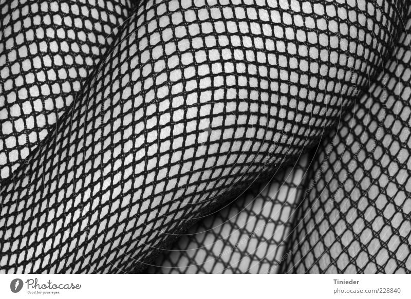 Female legs with net hosiery Feminine Woman Adults Clothing Tights Net Black Design Fashion Fishnet stockings Thigh Detail Shadow Skin Legs Close-up Lower leg
