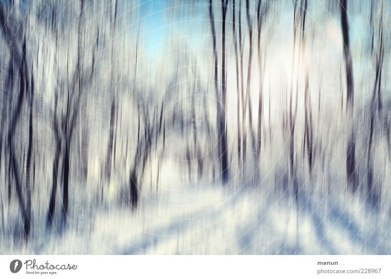 A winter day Nature Landscape Winter Beautiful weather Ice Frost Snow Tree Forest Exceptional Cool (slang) Cold Colour photo Exterior shot Abstract Deserted Day