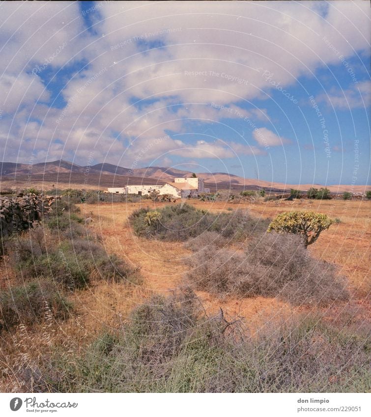en el campo Vacation & Travel House (Residential Structure) Landscape Summer Beautiful weather Mountain Island Fuerteventura Village Populated Deserted