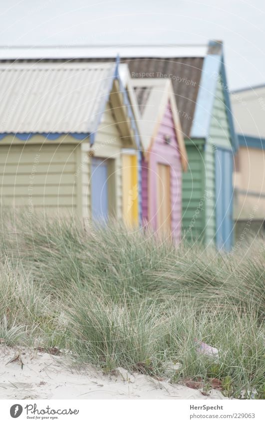 On the beach Vacation & Travel Tourism Summer Summer vacation Beach Sand Grass Hut Beach hut Dune Colour photo Multicoloured Exterior shot Deserted