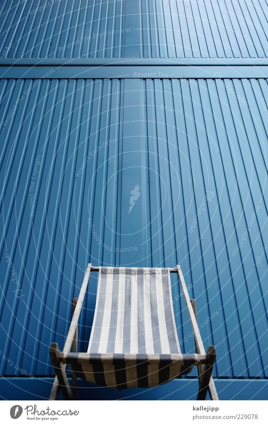 a zebra on vacation Lifestyle Design Leisure and hobbies Chair Lie Stripe Deckchair Blue Colour photo Exterior shot Light Contrast Reflection Worm's-eye view