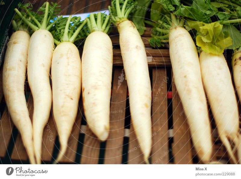 radishes Food Vegetable Nutrition Organic produce Vegetarian diet Long Delicious Radish Root vegetable Farmer's market Vegetable market