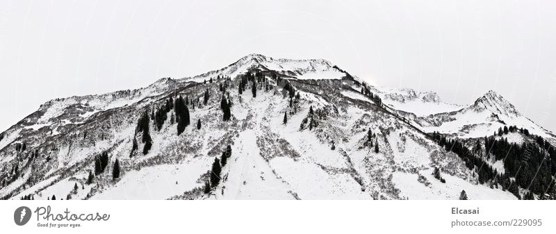 WHITE OUT Winter Snow Mountain Ski resort Landscape Sky Bad weather Fog Alps Vorarlberg Black White Colour photo Black & white photo Exterior shot Deserted