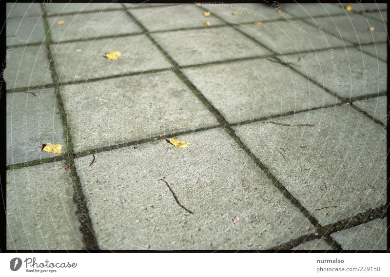 hard square Environment Climate Deserted Places Sidewalk Paving tiles Sign Lie Sharp-edged Cliche Trashy Gloomy Design Whimsical Surrealism Symmetry Hard