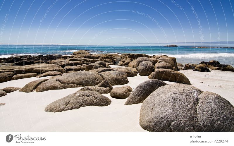 dreams be dreams Nature Landscape Elements Earth Sand Water Sky Horizon Summer Beautiful weather Rock Waves Coast Beach Ocean Exotic Warmth Wanderlust Tasmania