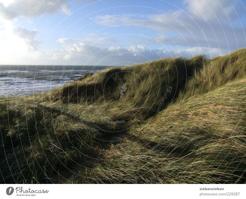 Freeze and take a deep breath. Harmonious Well-being Relaxation Calm Far-off places Freedom Beach Ocean Island Nature Landscape Sky Autumn Beautiful weather