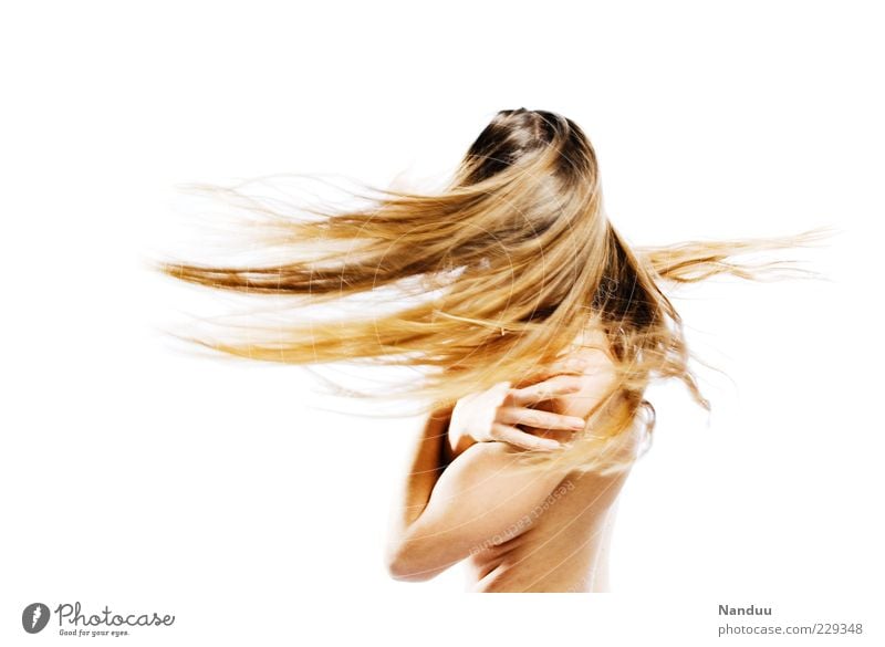 spinning top Human being Feminine Hair and hairstyles 1 Euphoria Dynamics Shake Blonde Long-haired Colour photo Studio shot Copy Space left Copy Space right