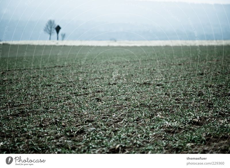 Greens and Blues Environment Sky Bad weather Fog Grass Agricultural crop Field Deserted Crucifix Gloomy Calm Loneliness Horizon Nature Colour photo