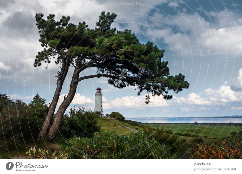 Lighthouse on the island of Hiddensee Vacation & Travel Tourism Trip Environment Nature Landscape Water Sky Clouds Climate Weather Wind Tree Meadow Hill Coast