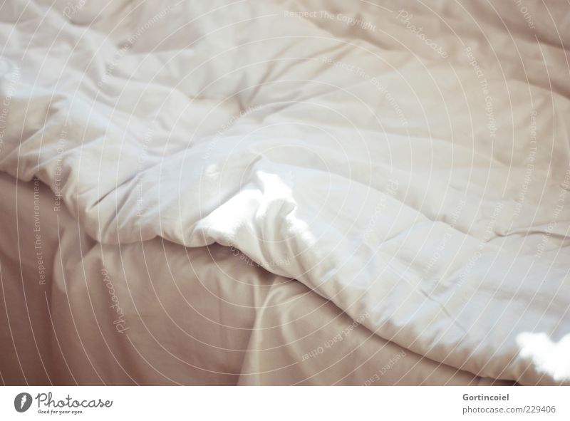 Good Morning Bed Bedroom A Royalty Free Stock Photo From Photocase