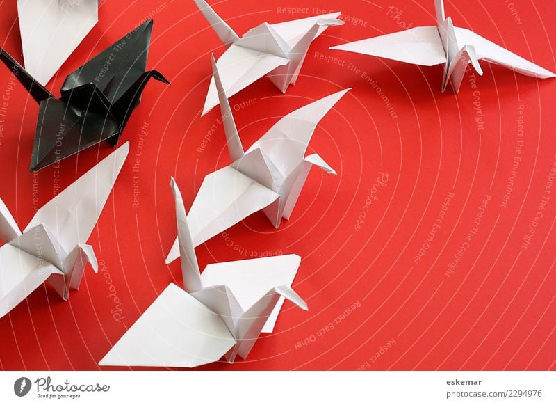 chief Leisure and hobbies Handicraft Origami crease Animal Bird Crane Group of animals Flock Paper Sign Together Near Above Many Red Black White Relationship