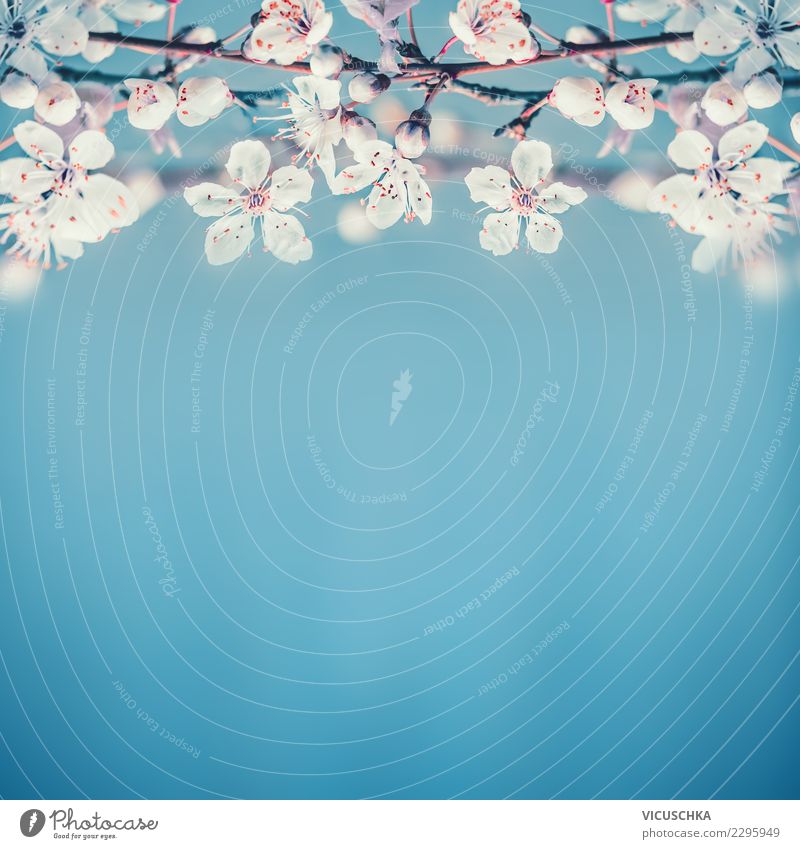 Beautiful Early Flowering Background A Royalty Free Stock Photo