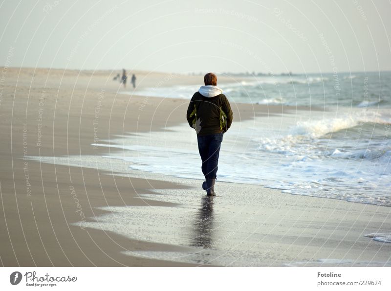 sandpiper Human being Masculine Young man Youth (Young adults) Adults Hair and hairstyles Back Legs 1 Environment Nature Landscape Sky Cloudless sky Autumn