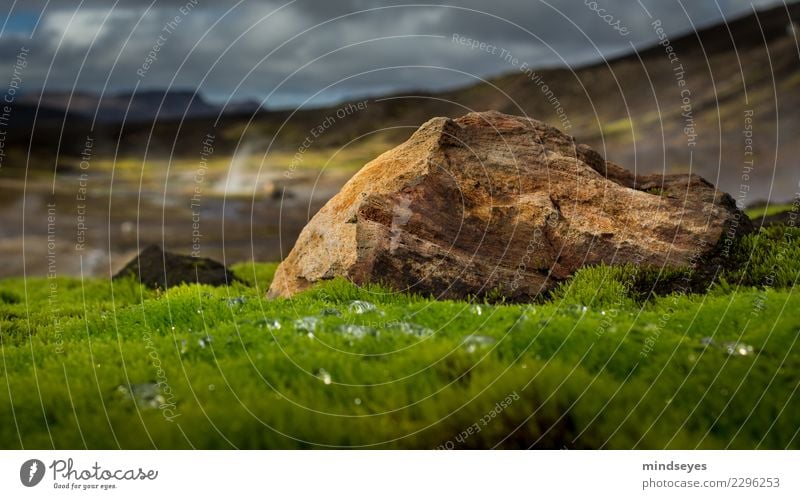 Down in the moss Nature Landscape Elements Earth Drops of water Clouds Moss Hill Rock Geothermy Iceland Deserted Stone Discover Relaxation Vacation & Travel