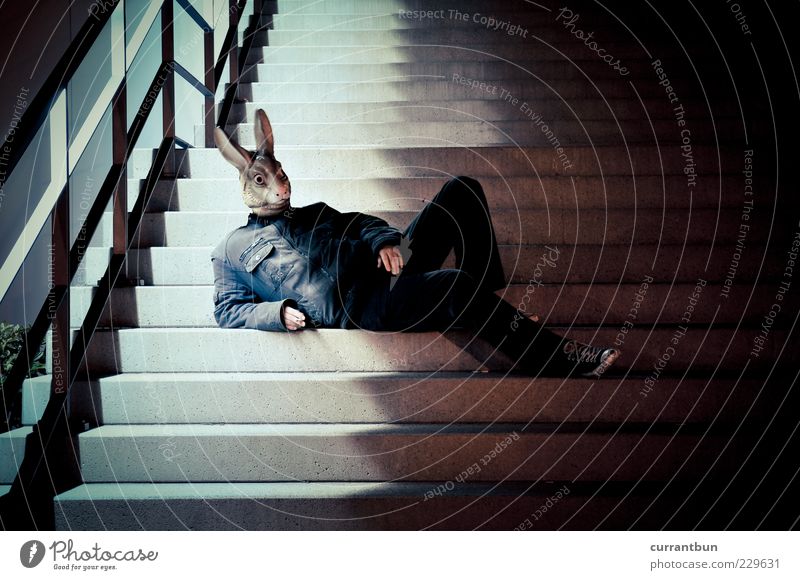 s. presented for the first time... Concrete Style Hare & Rabbit & Bunny Mask Stairs Shadow Cigarette Line Colour photo Subdued colour Multicoloured
