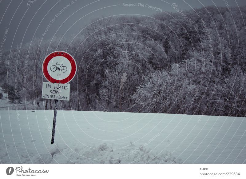 Like this Environment Nature Landscape Sky Cloudless sky Winter Snow Forest Signs and labeling Signage Warning sign Dark Cold Gray Bans Snow layer Cycle path