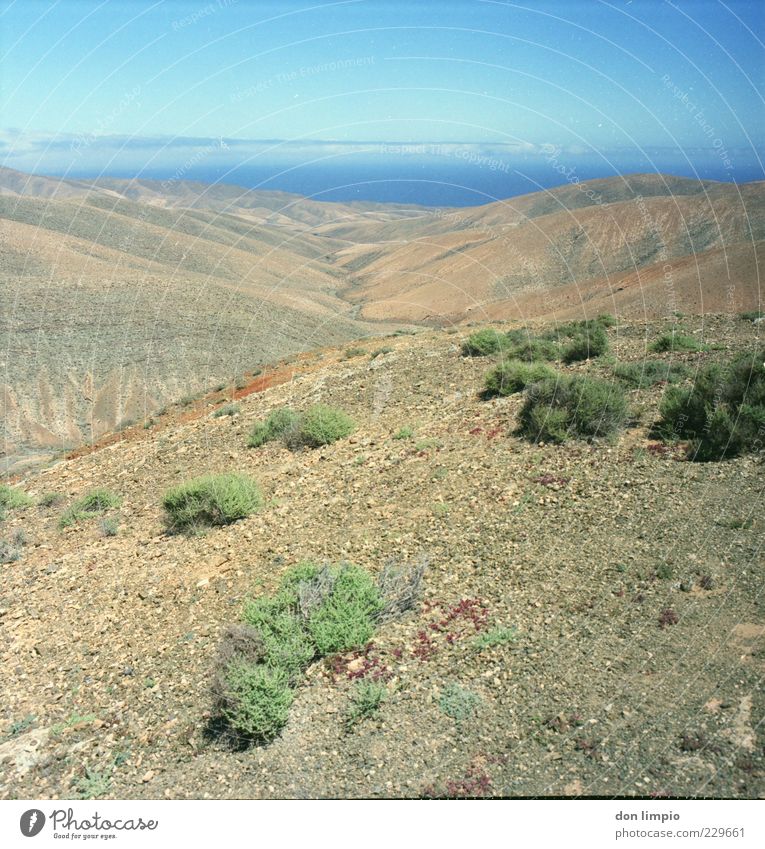 barranco de amanay Far-off places Summer Island Mountain Environment Landscape Earth Beautiful weather Warmth Drought Bushes Hill Fuerteventura Deserted