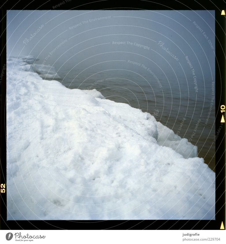 coastal fog Environment Nature Landscape Winter Climate Fog Ice Frost Snow Coast Beach Baltic Sea Exceptional Dark Cold Moody Apocalyptic sentiment Colour photo