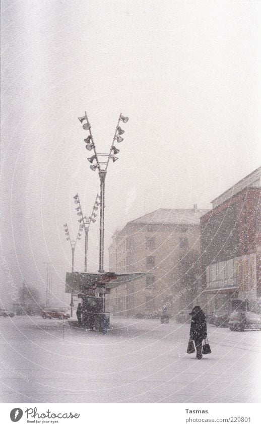 Silent Snow Human being Woman Adults Snowfall Bus stop Passenger traffic Public transit Cold Colour photo Exterior shot Blur Looking away Snowstorm