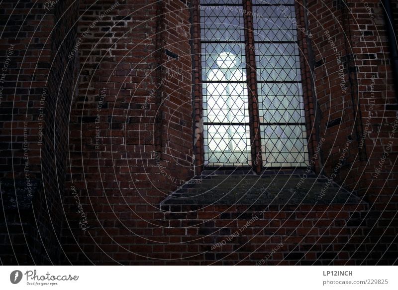 closed place Funeral service Baptism Luneburg Germany Europe Deserted Church Wall (barrier) Wall (building) Window Tourist Attraction Hope Belief Sadness Grief