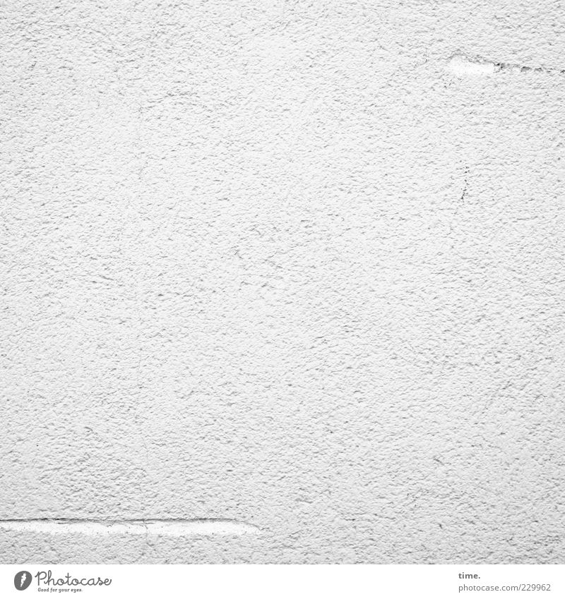Lifelines #22 Wall (barrier) Wall (building) Esthetic Simple Elegant Friendliness Bright Natural Positive Clean Thin White Authentic Purity Complex Stagnating