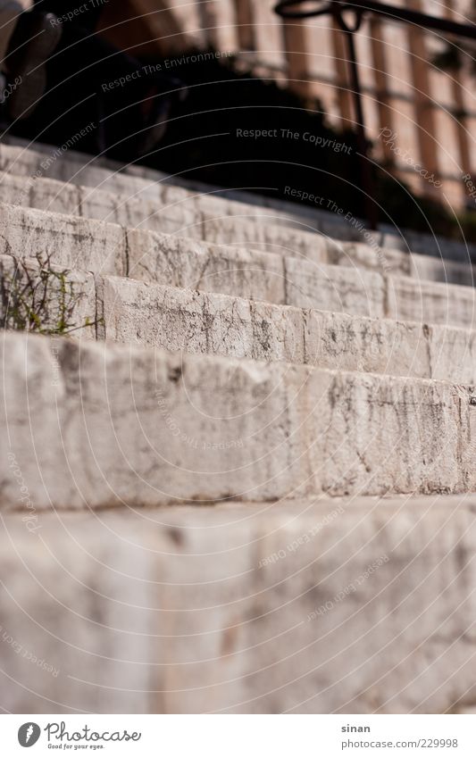 step by step Sandstone Weed Seam Stairs Sun Light Shadow Spain South Depth of field Structures and shapes Foreground Stone Lanes & trails Historic