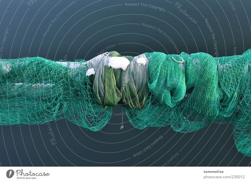 No network coverage Green Calm Net Fishing net Fishery Snow Winter Cold Colour photo Exterior shot Deserted Day Copy Space top Copy Space bottom Loop Detail