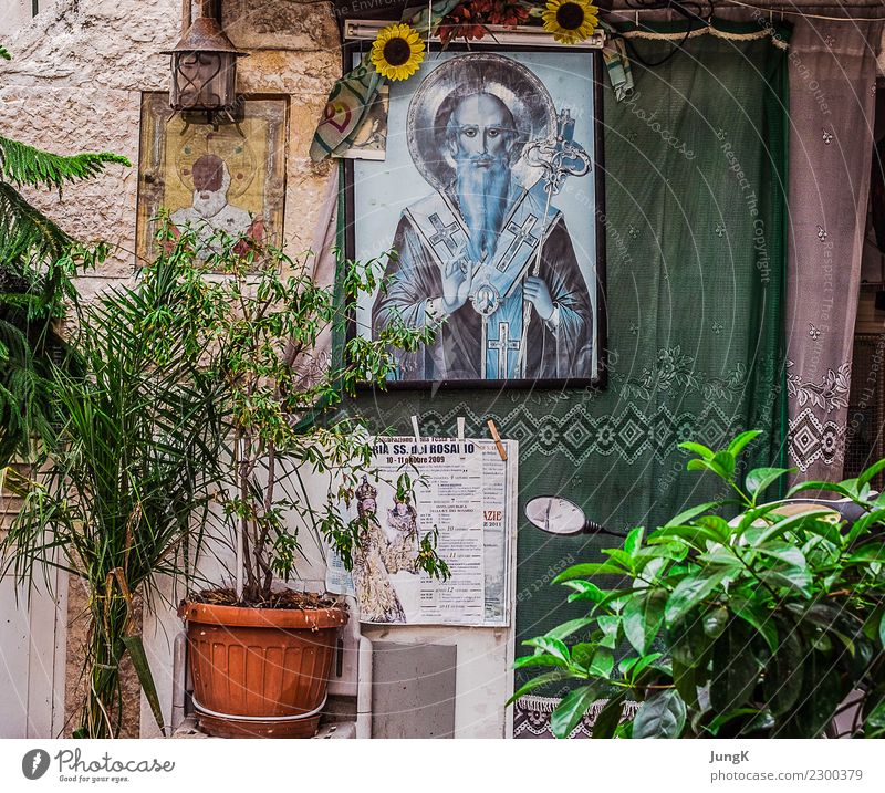 Looking back 2 City trip Everyday Culture Southern Italy Old town House (Residential Structure) Wall (barrier) Wall (building) Facade Window Authentic Simple