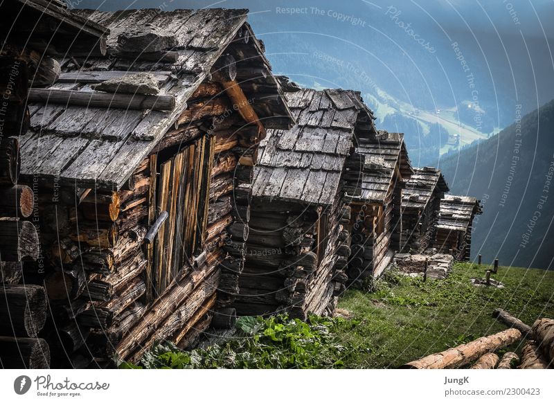 Looking back 3 Leisure and hobbies Mountain Hiking Nature Landscape Alps Deserted House (Residential Structure) Hut Old Esthetic Authentic Exceptional Historic