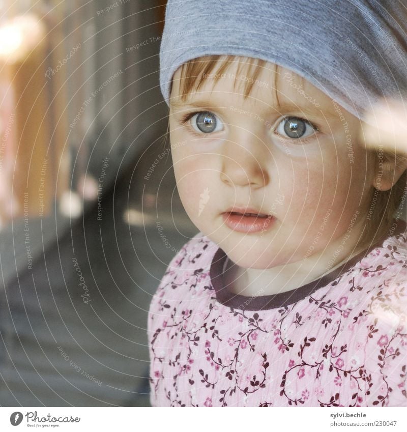 Where's Daddy? Child Toddler Girl Infancy Life Face Observe Looking Dream Wait Safety Protection Safety (feeling of) Watchfulness Curiosity Interest Hope