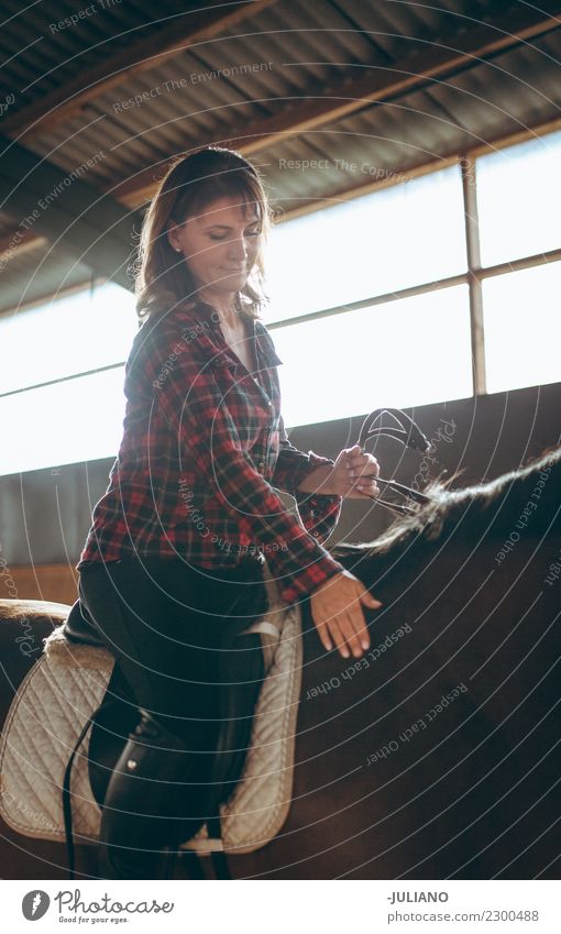 Mature woman is riding her horse in her sparetime at a farm Adults Animal Concepts &  Topics Day Domestic Horse Horseback Interior shot Lifestyle